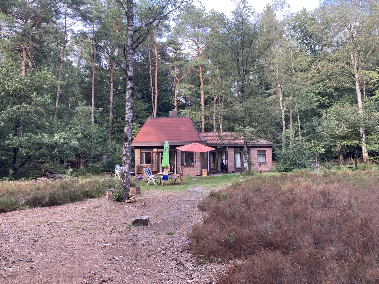 Oude-huisje-vanuit-bos.jpeg